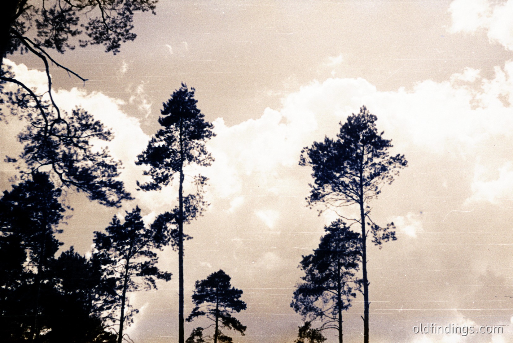 Vintage photograph