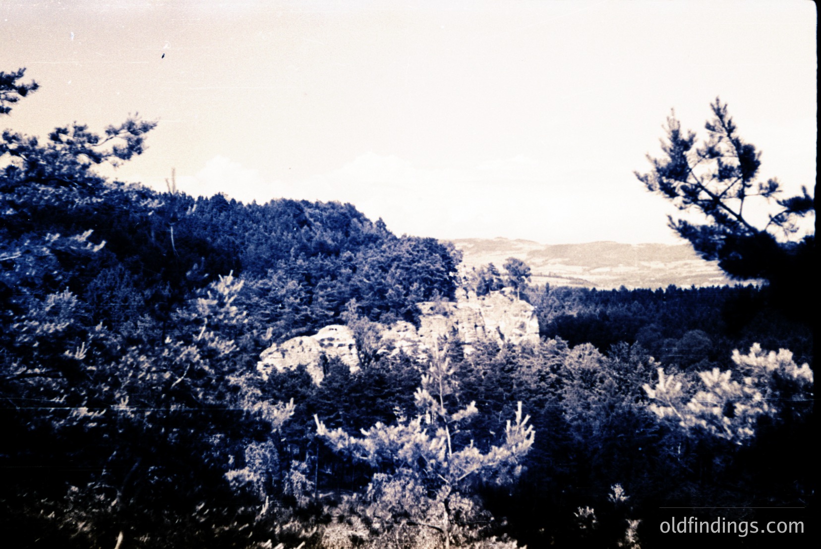 Vintage photograph