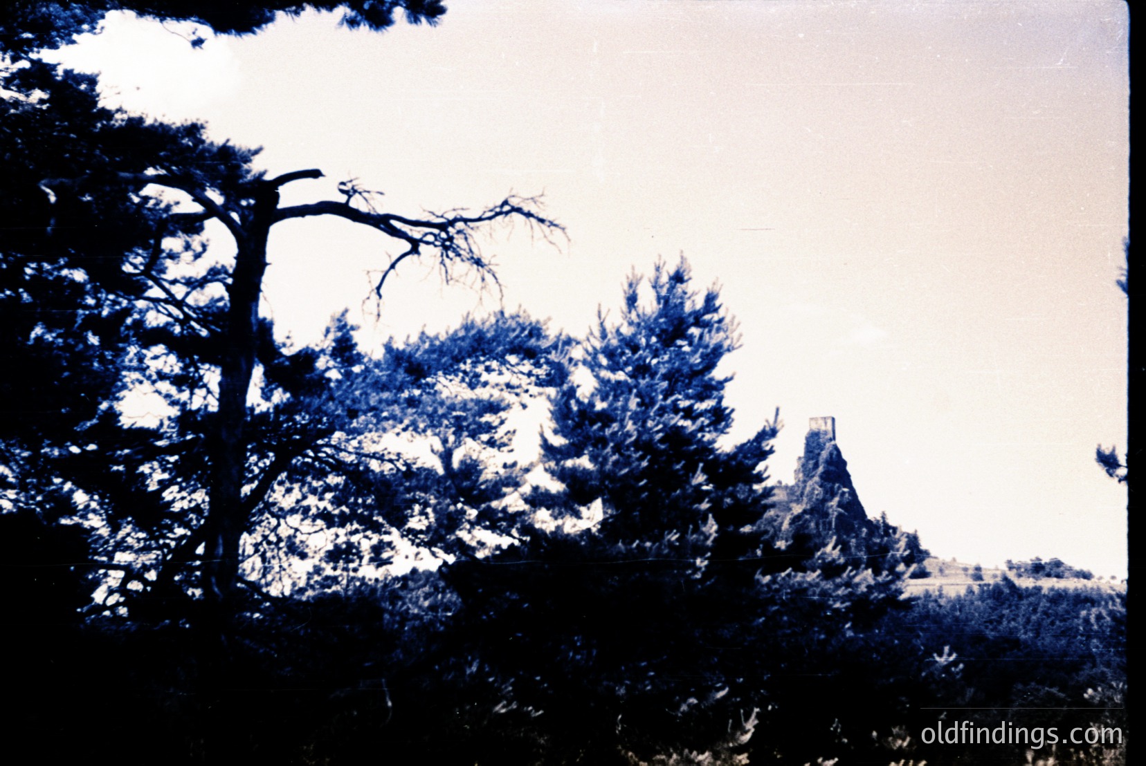 Vintage photograph