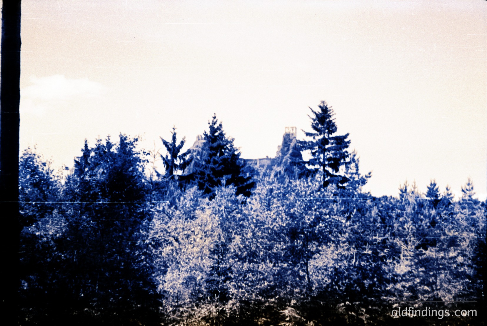 Vintage photograph