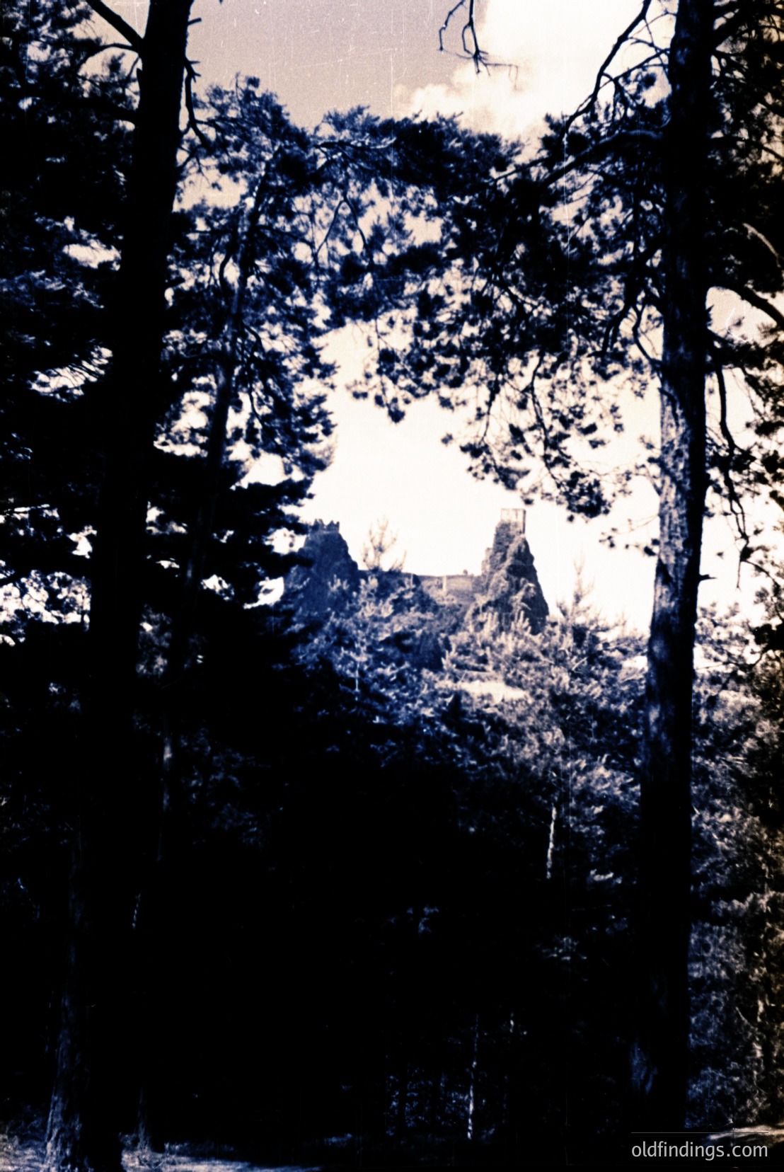 Vintage photograph