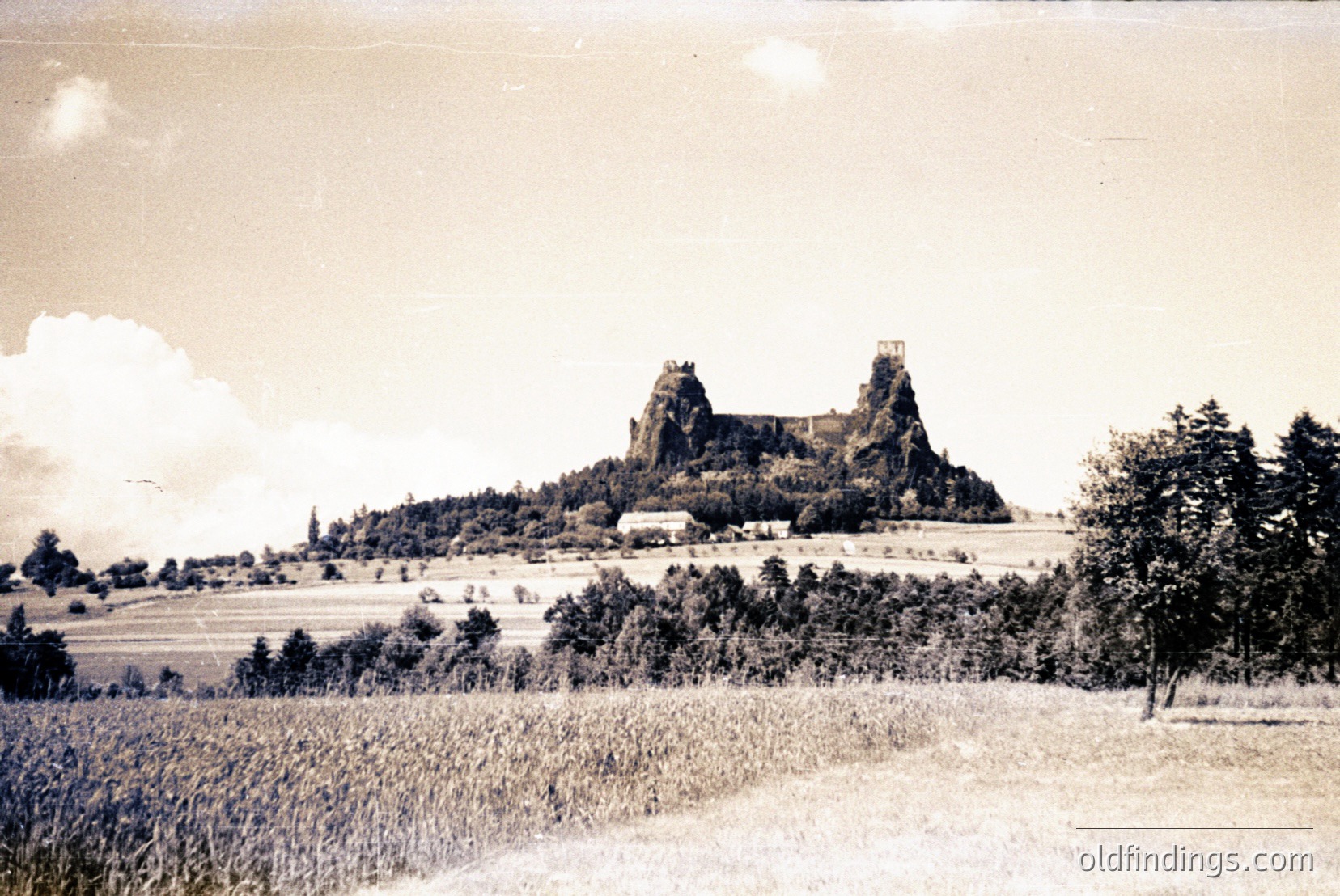 Vintage photograph