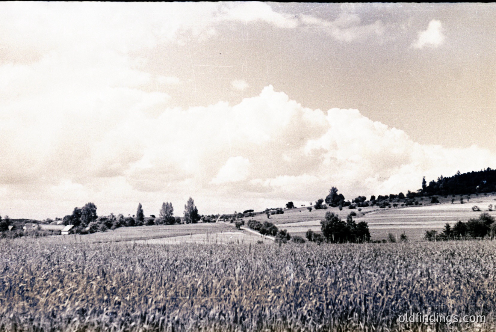 Vintage photograph