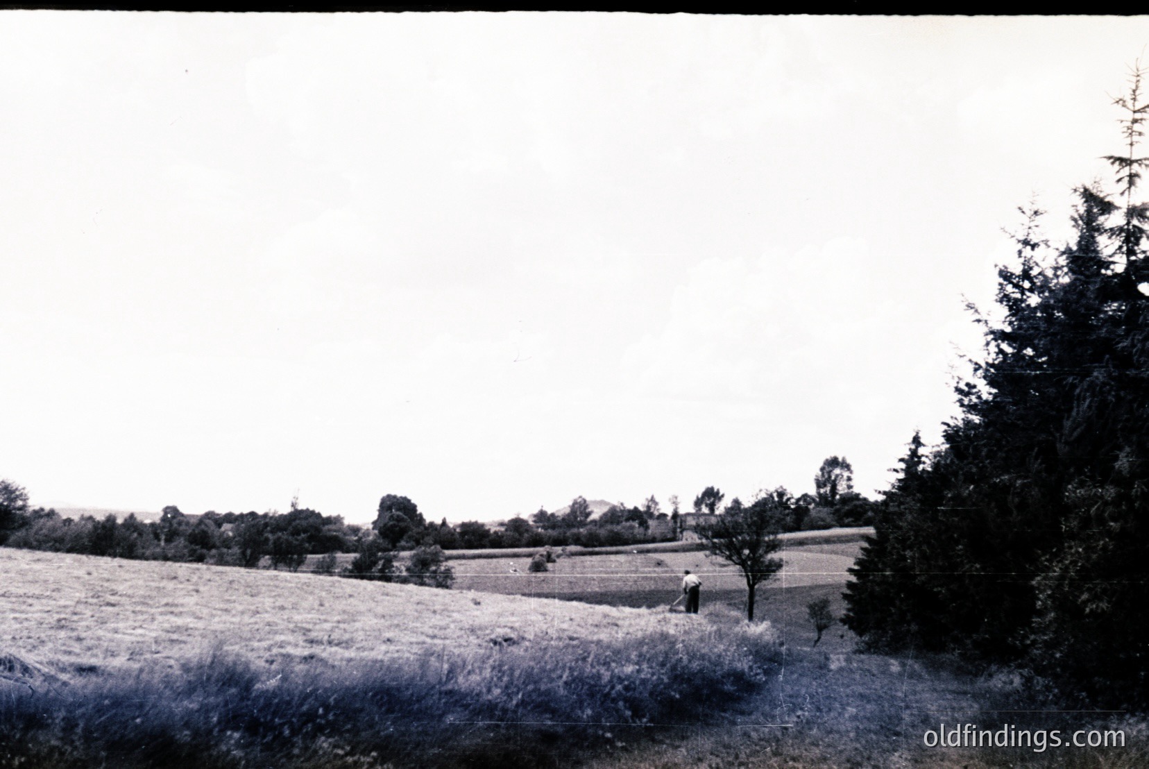 Vintage photograph