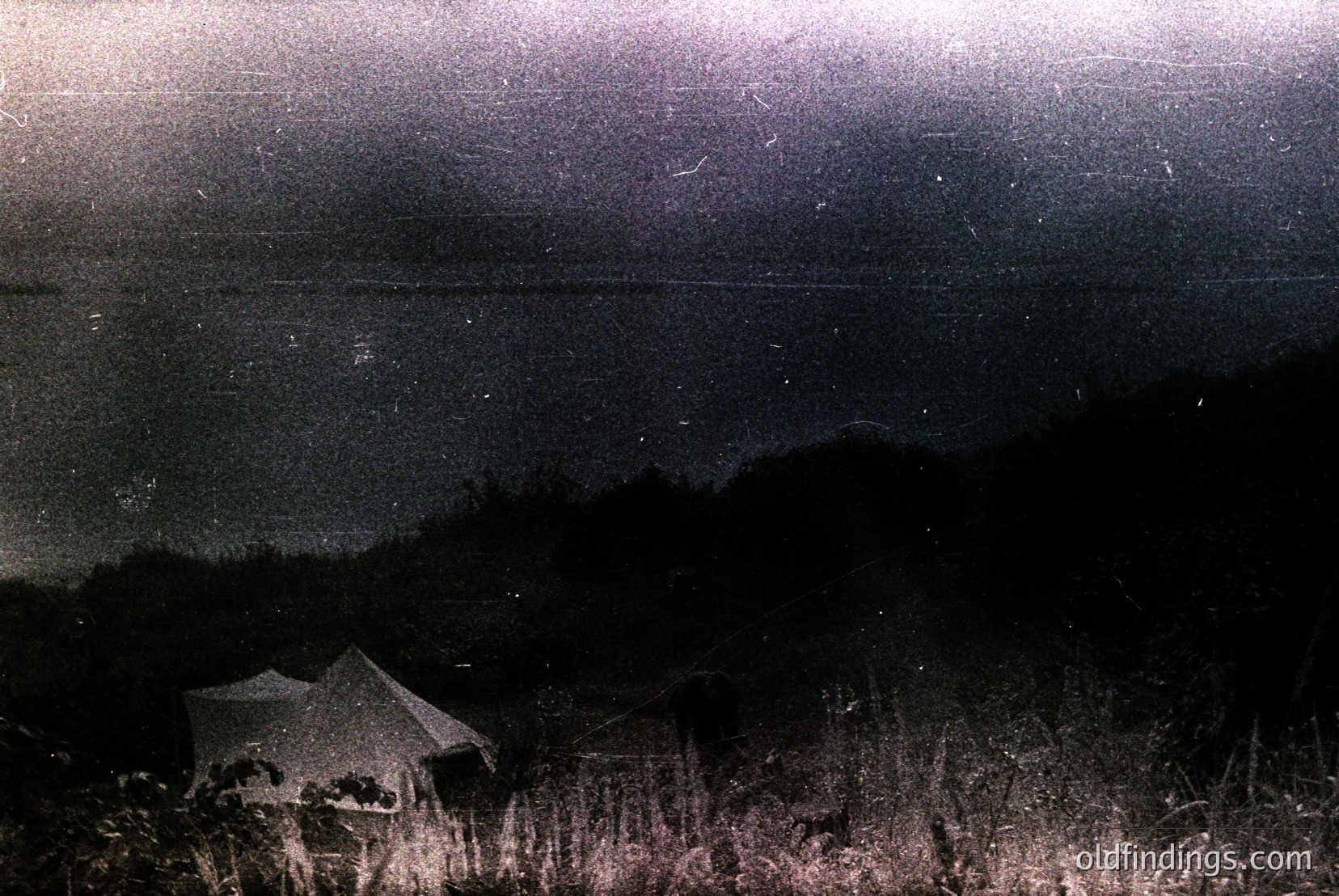 Vintage photograph