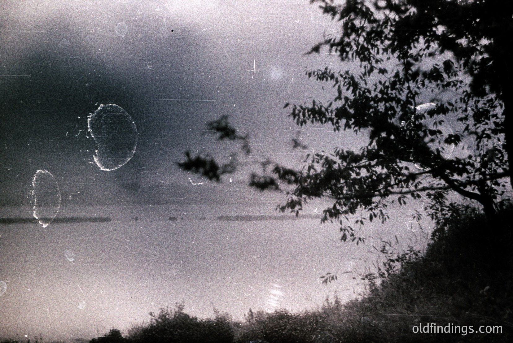Vintage photograph