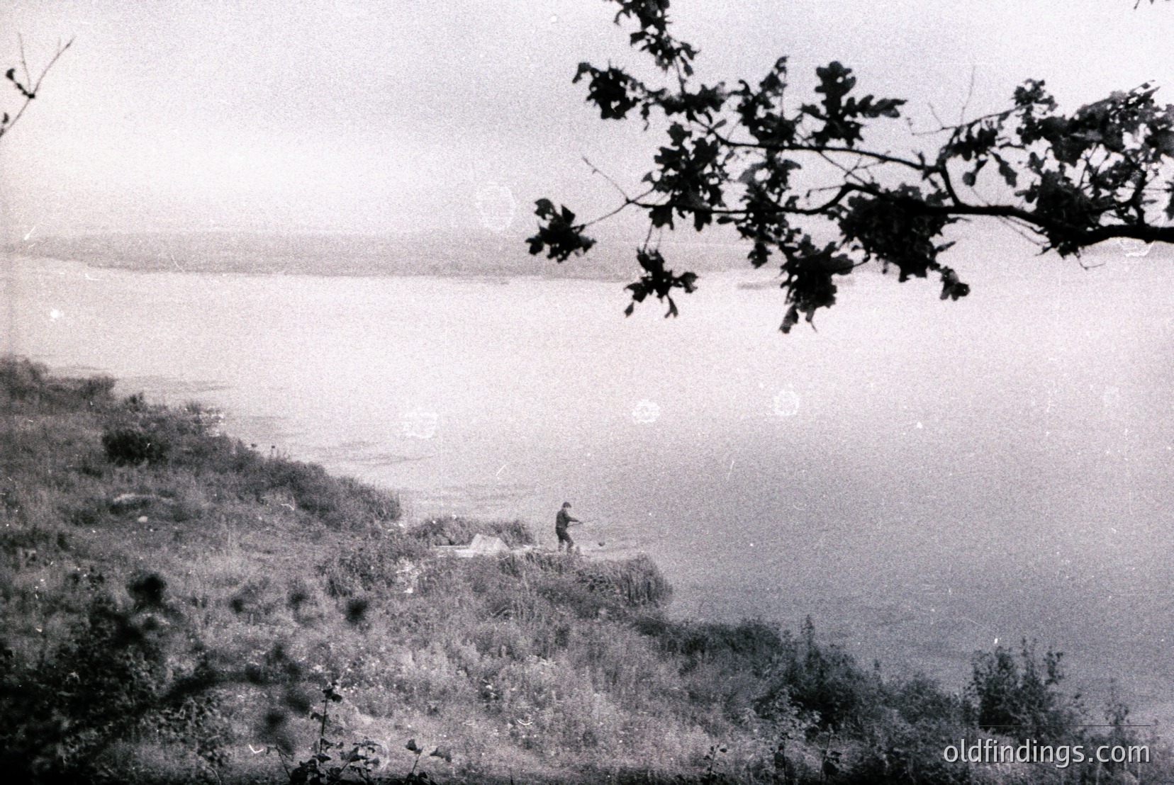 Vintage photograph