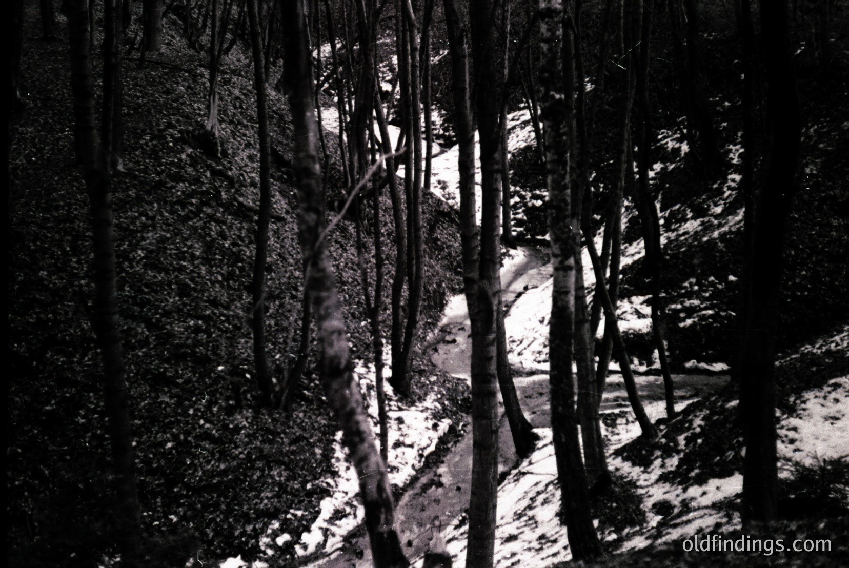 Vintage photograph