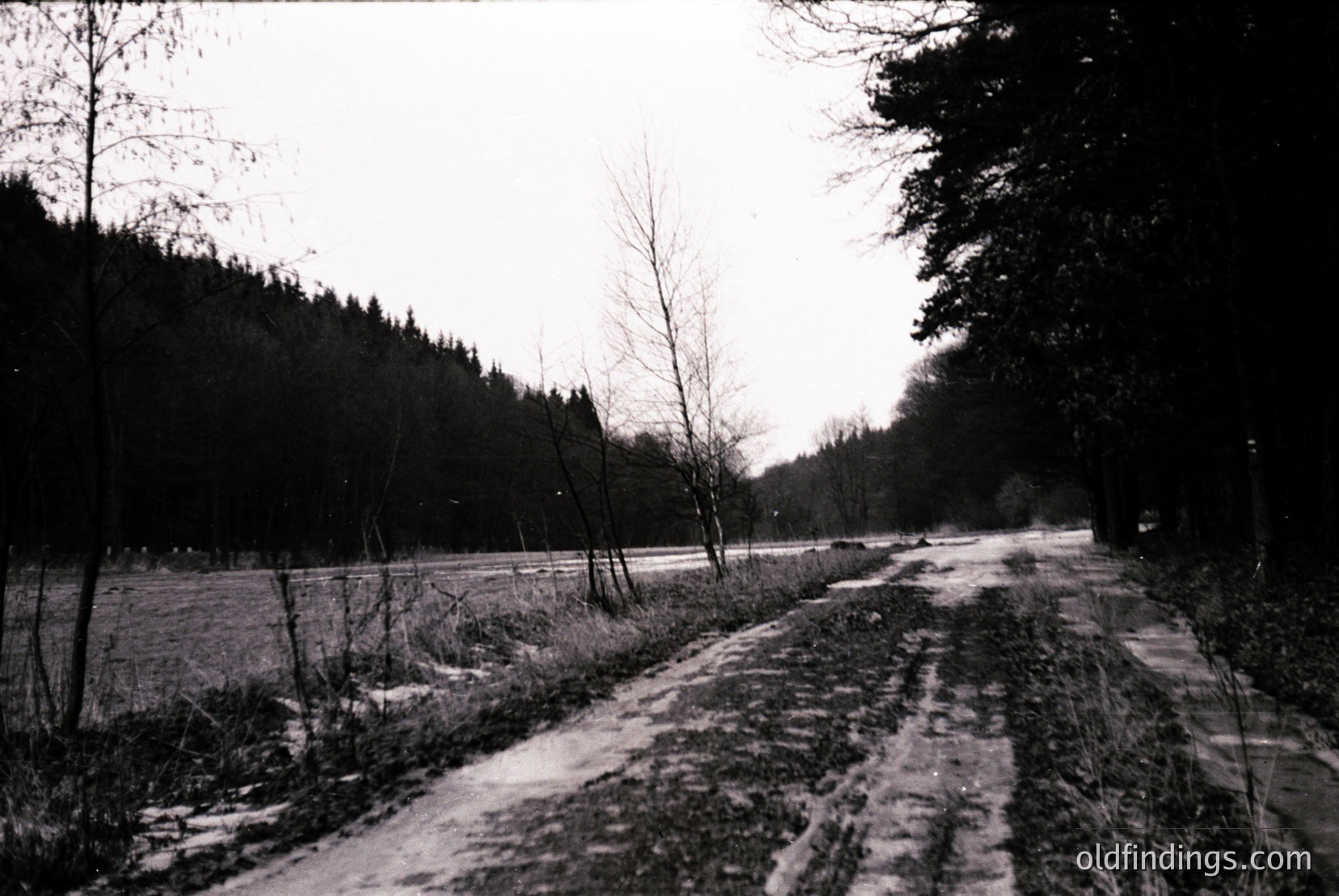 Vintage photograph