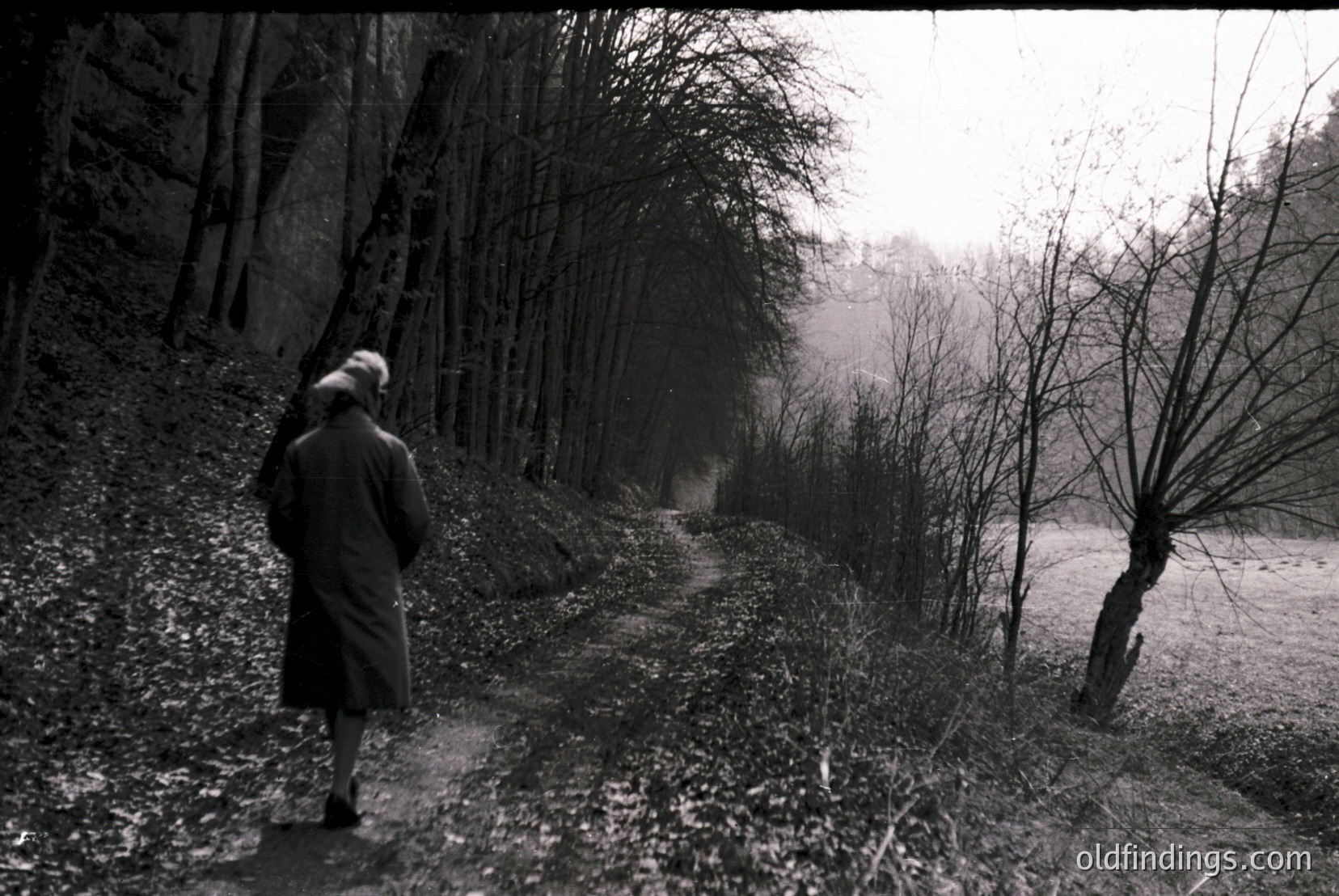 Vintage photograph