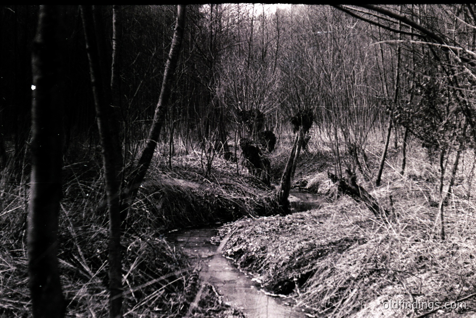 Vintage photograph