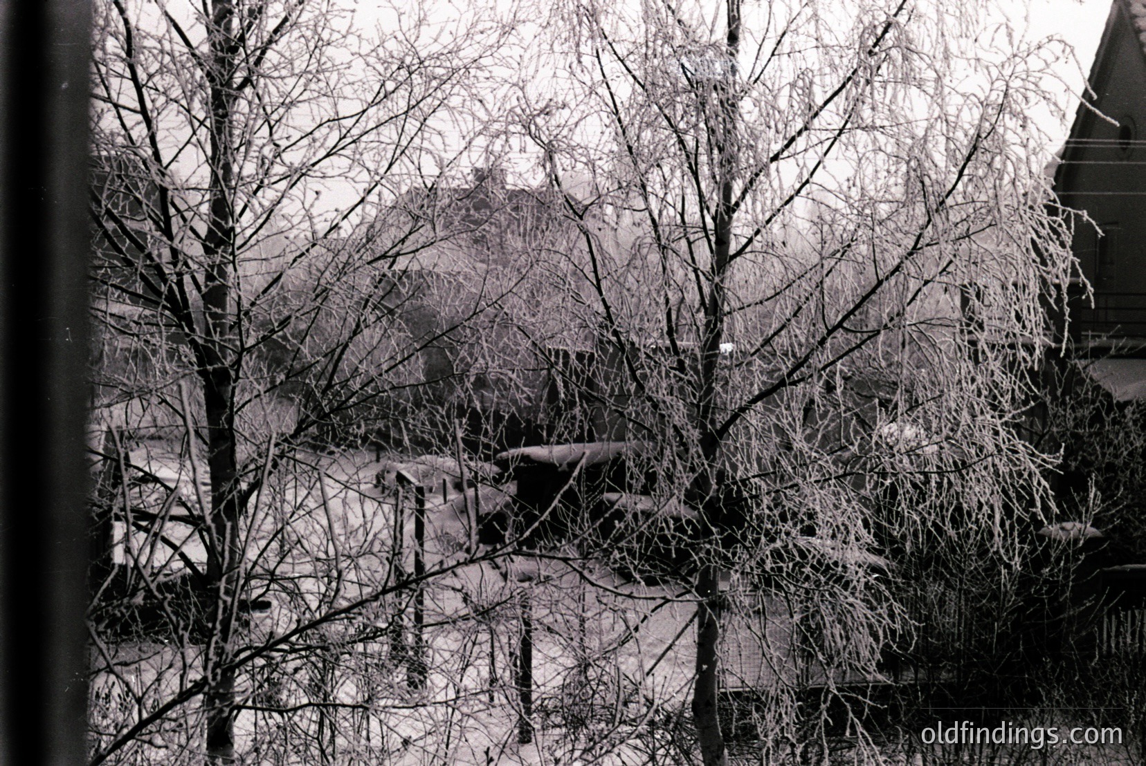 Vintage photograph