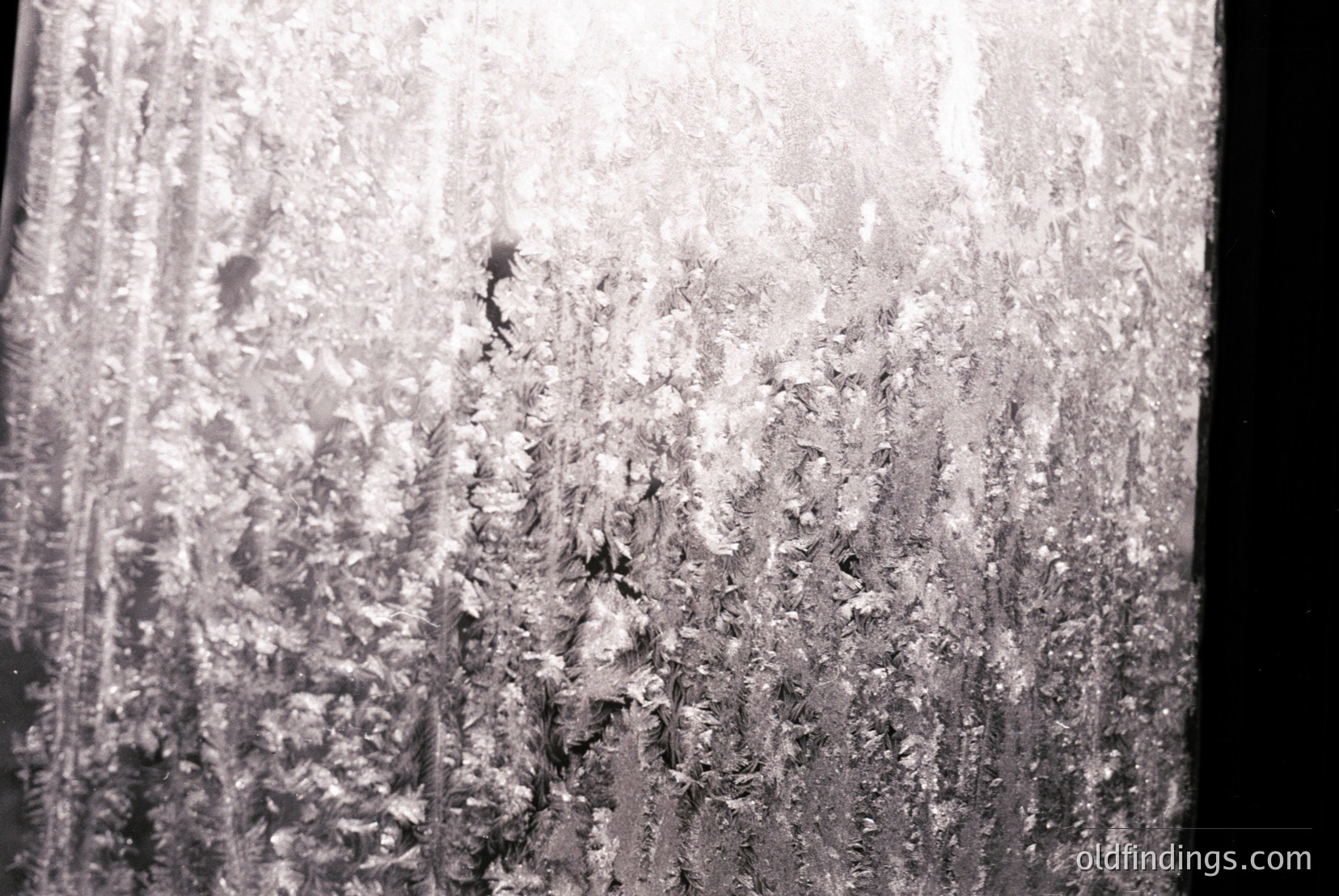 Vintage photograph