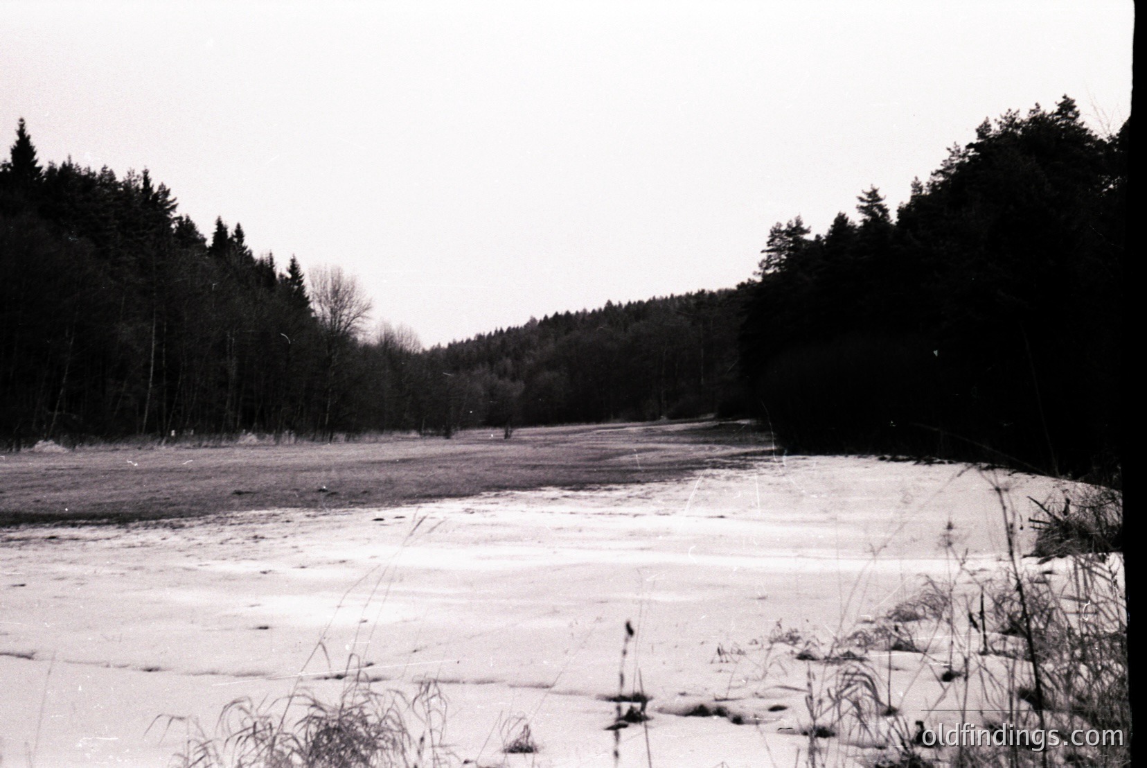 Vintage photograph
