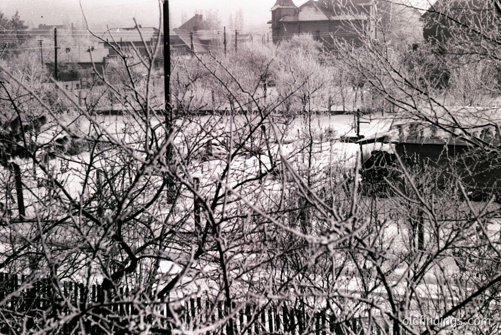 Vintage photograph