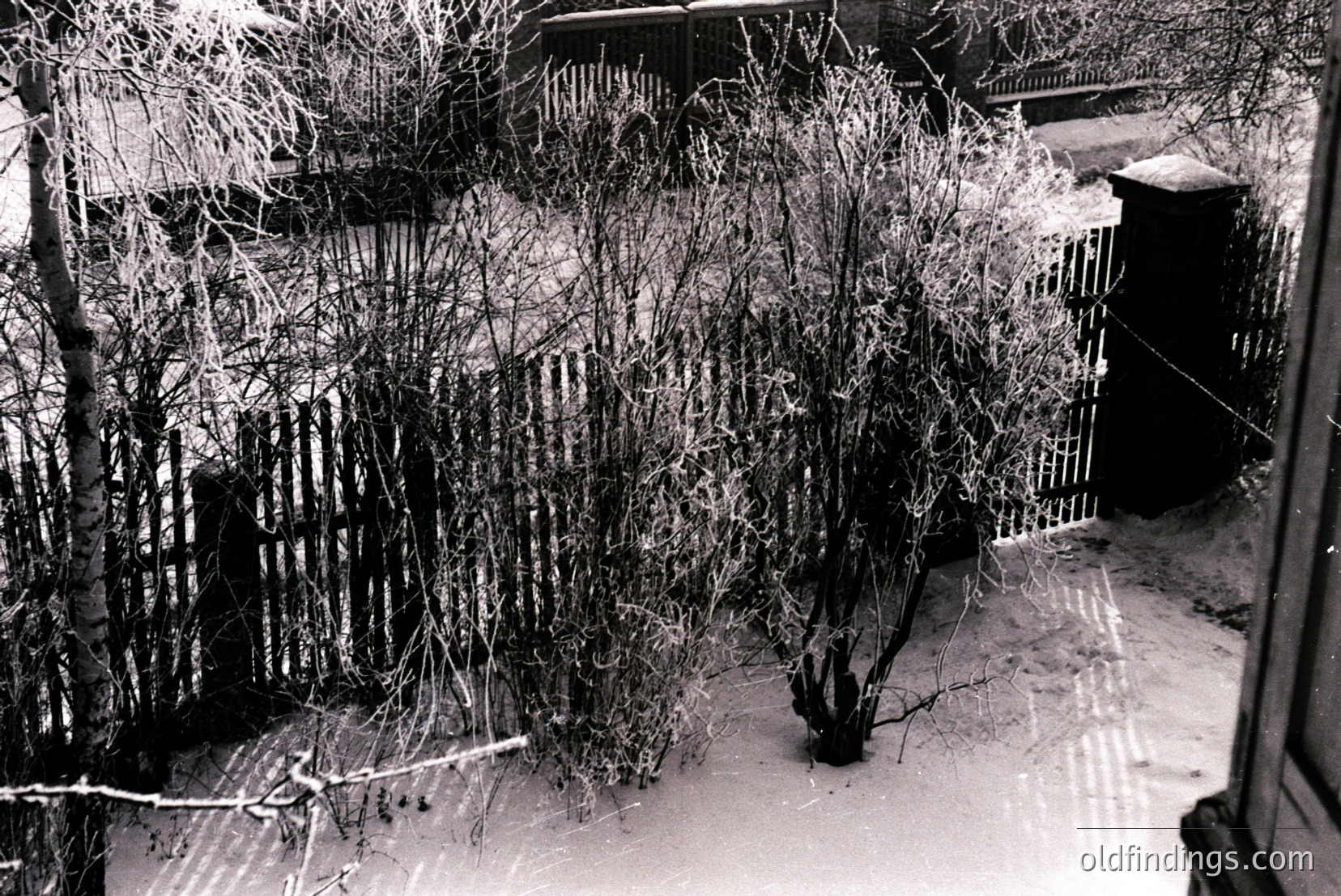 Vintage photograph