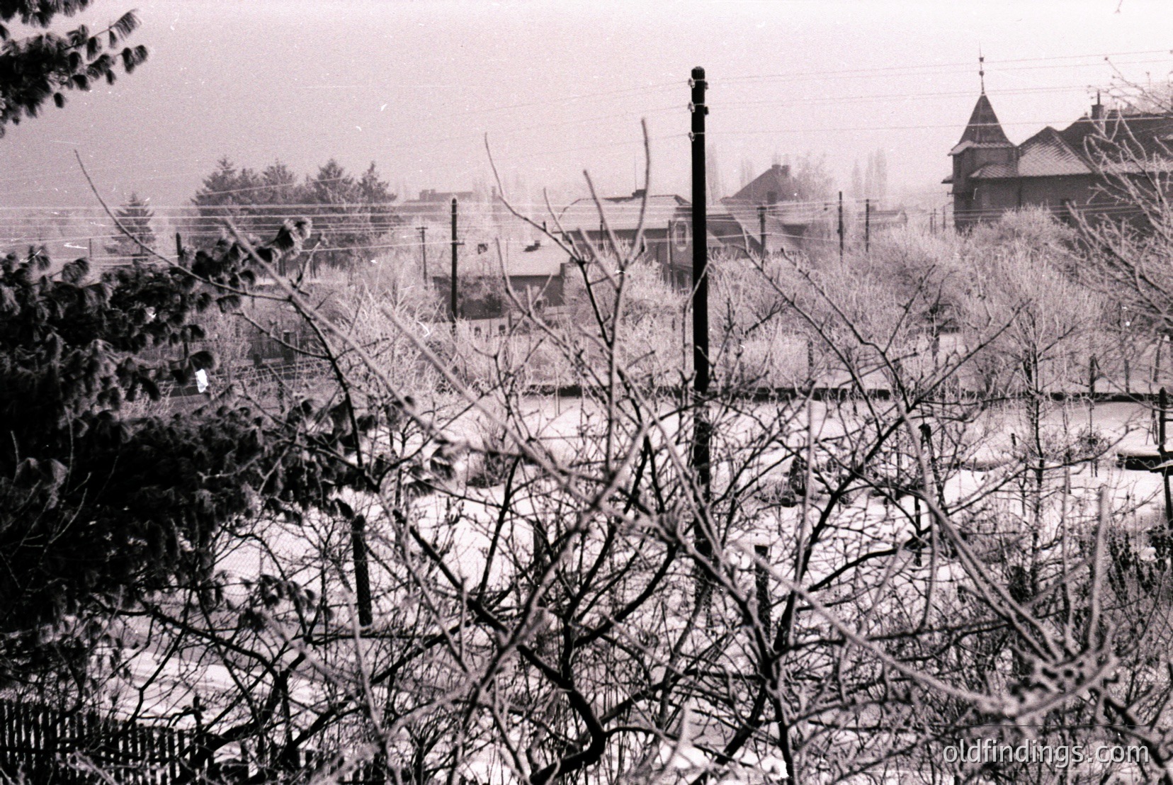 Vintage photograph