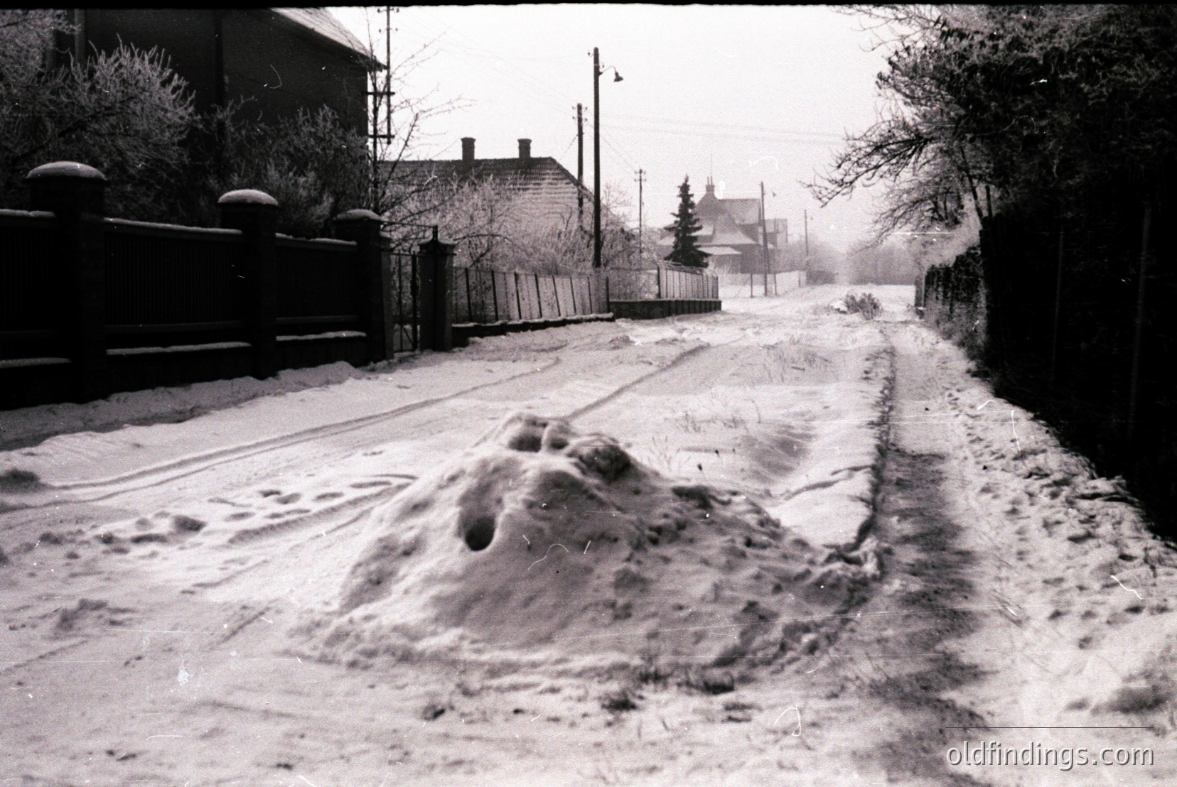 Vintage photograph