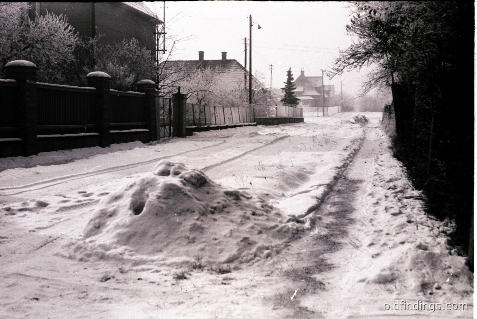 Vintage photograph