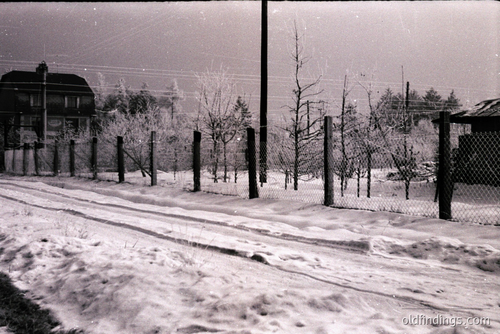 Vintage photograph