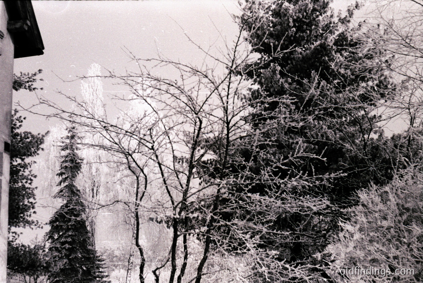 Vintage photograph