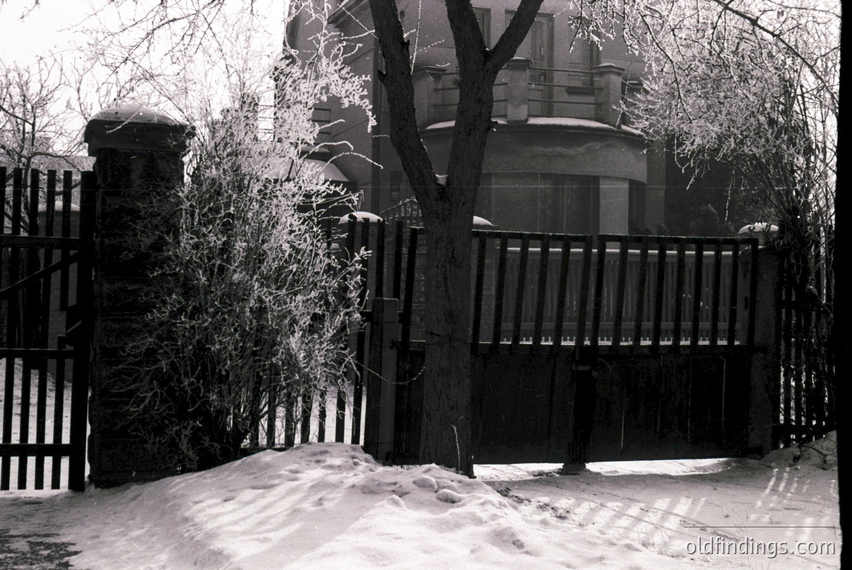 Vintage photograph