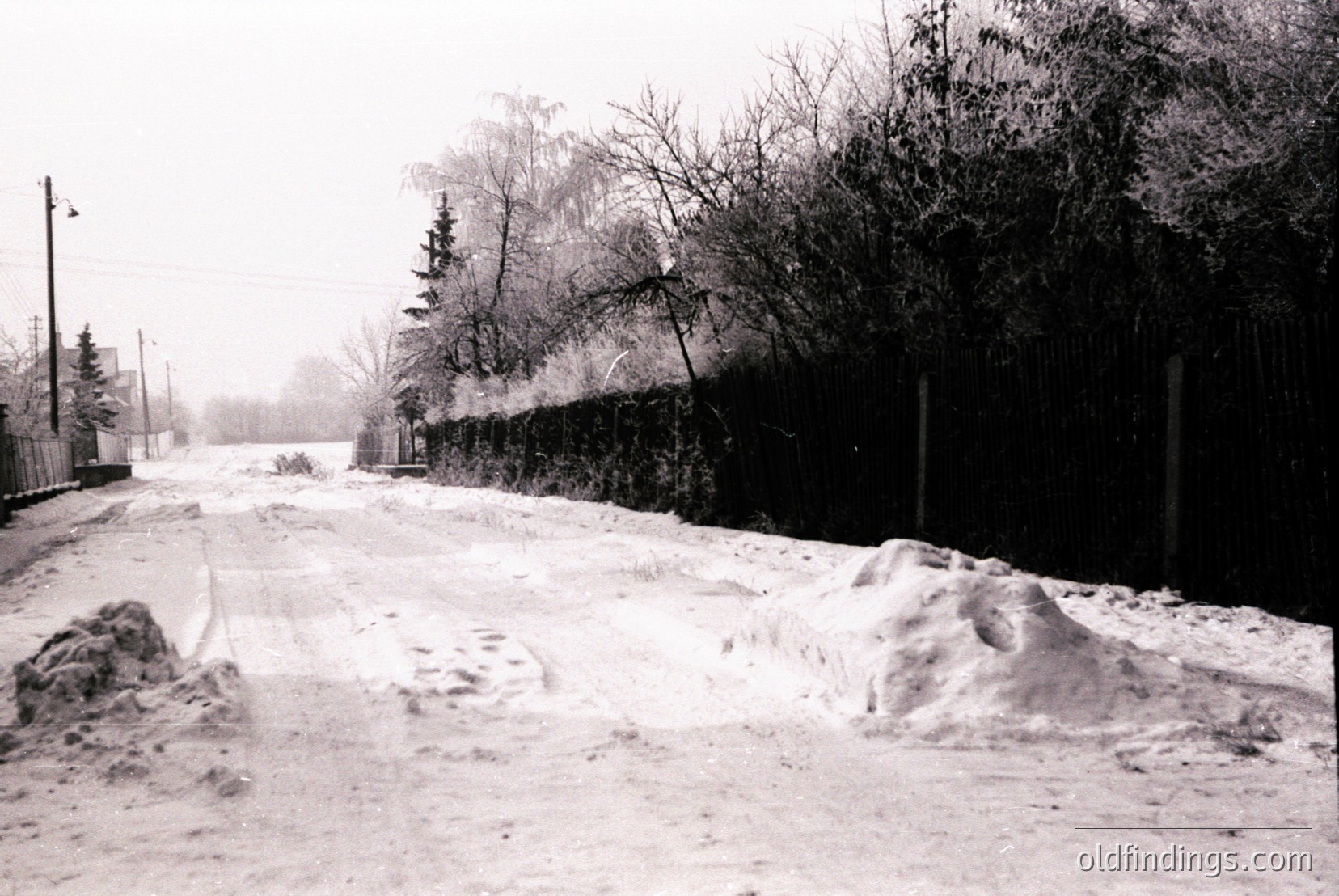 Vintage photograph