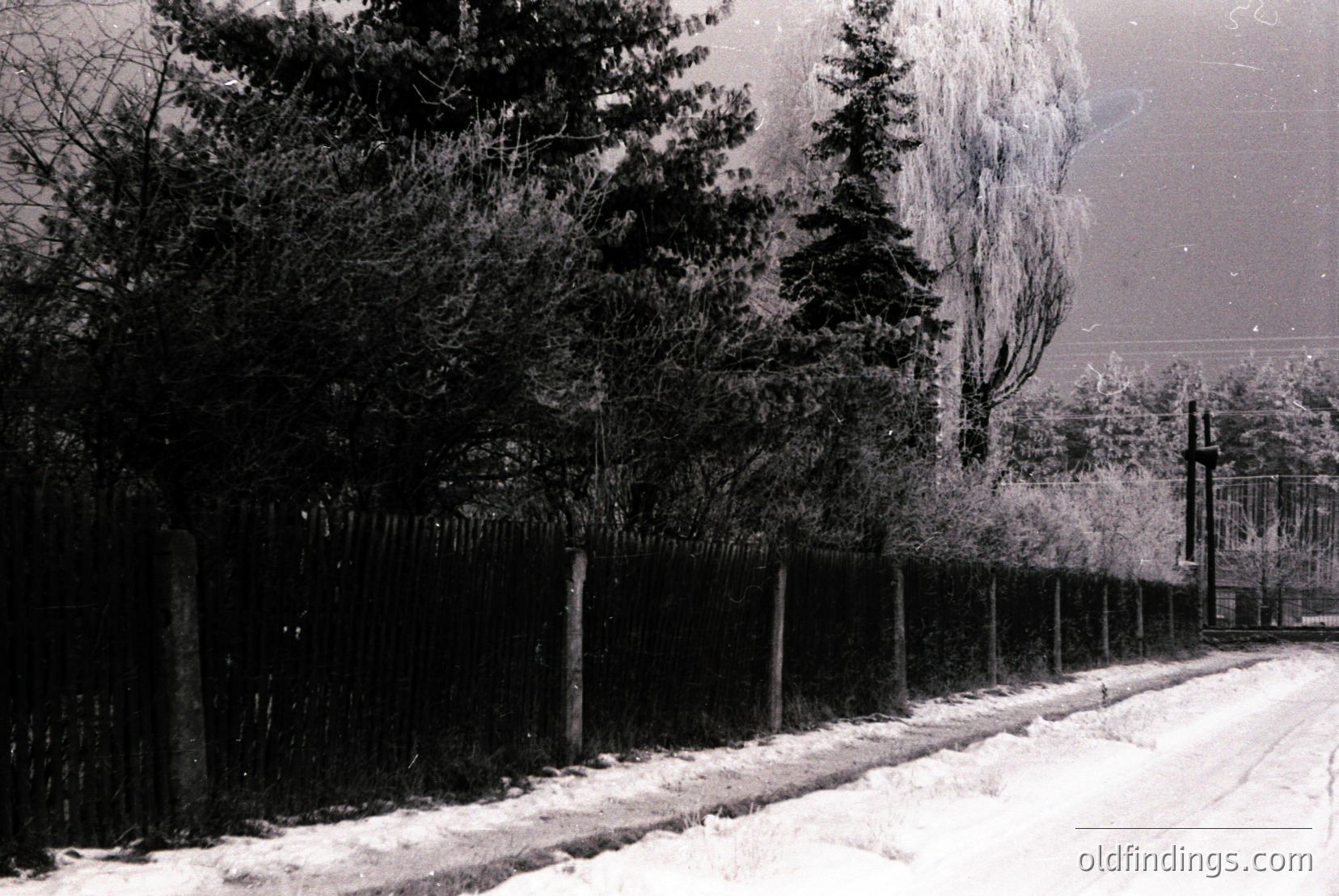 Vintage photograph