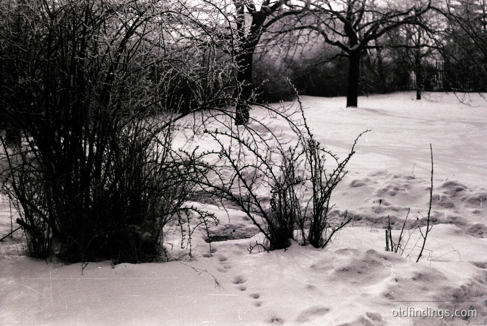 Vintage photograph