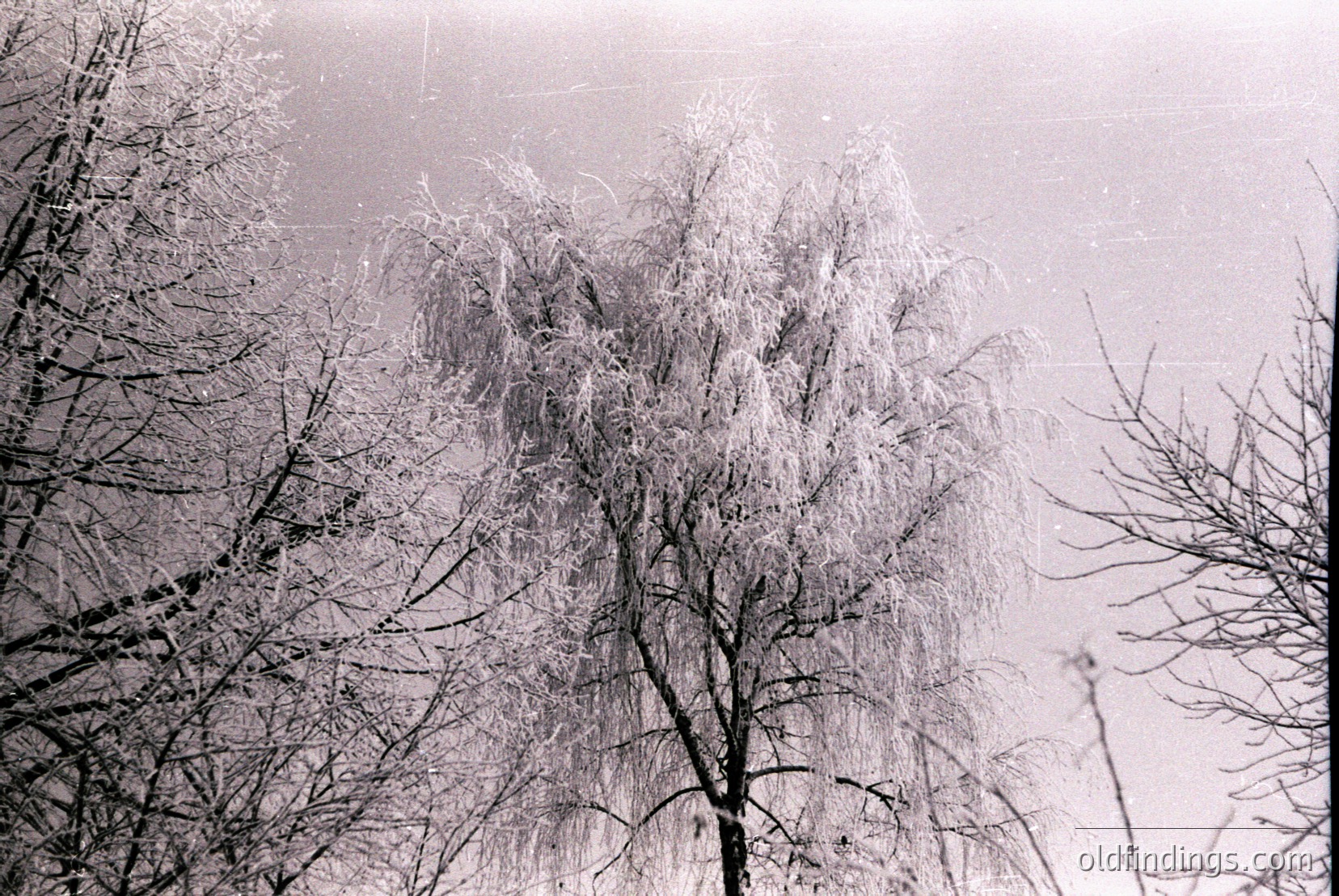 Vintage photograph