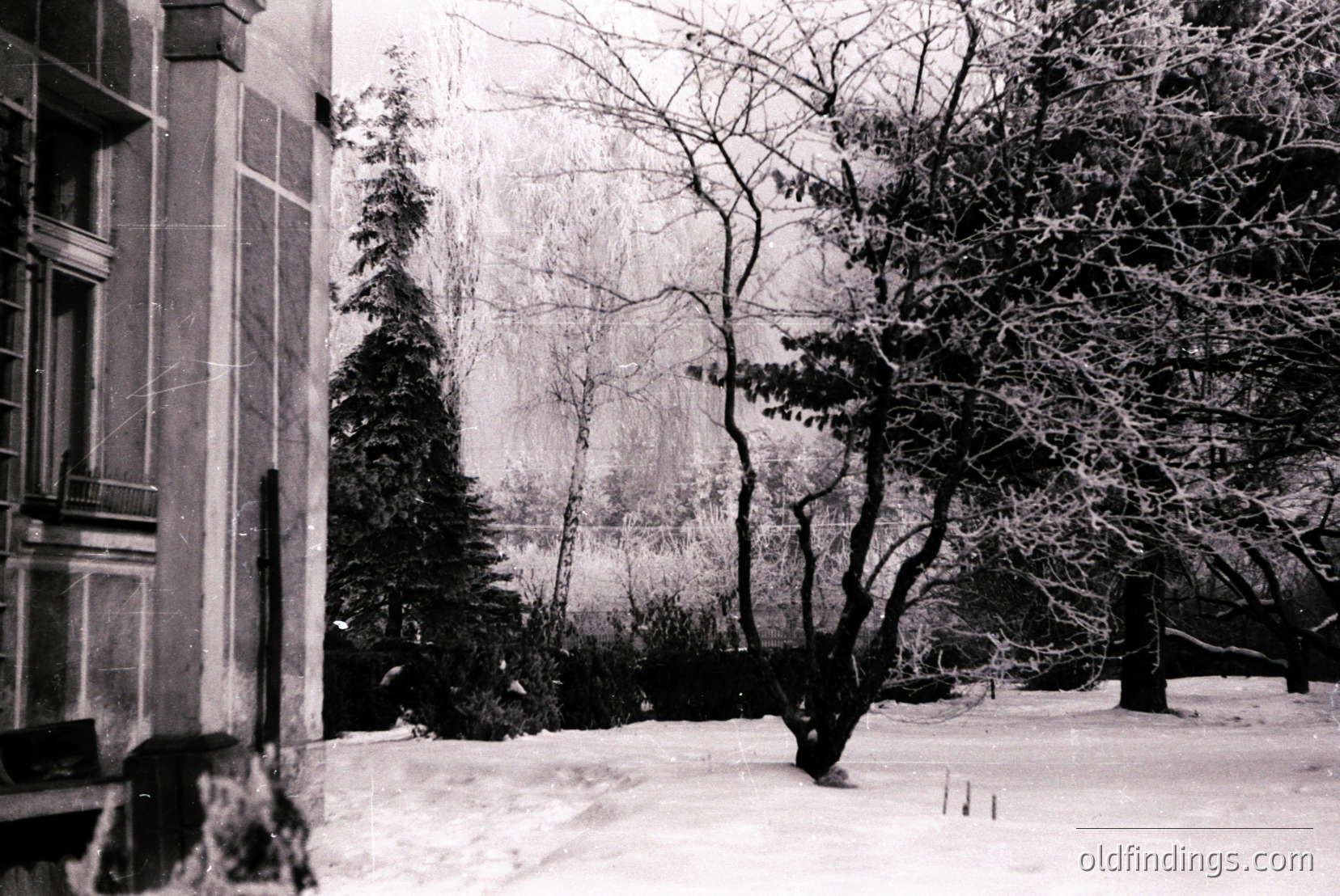 Vintage photograph