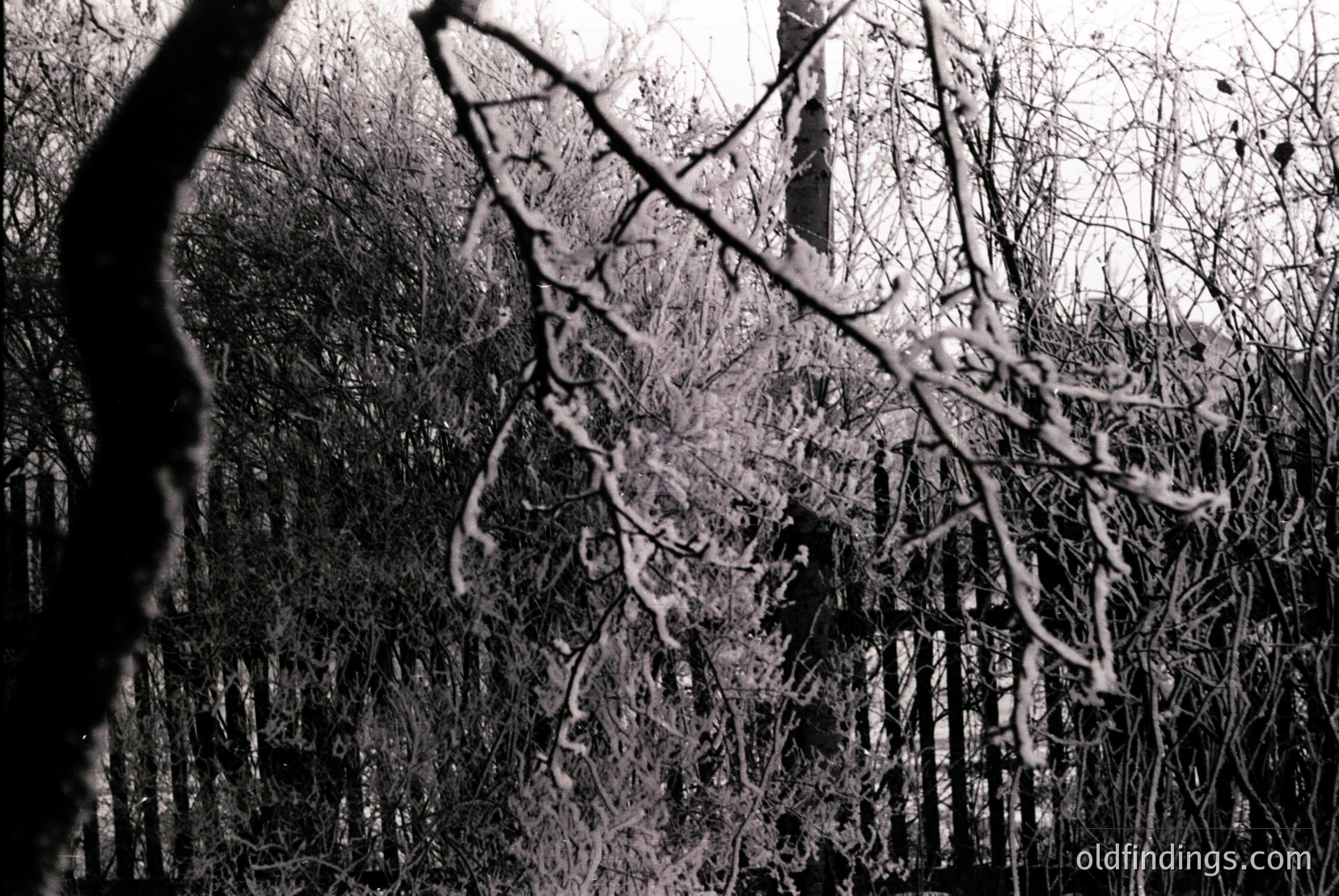 Vintage photograph