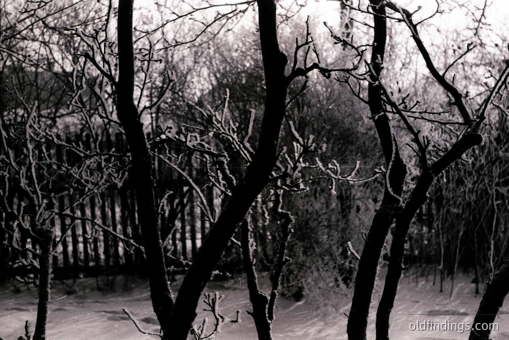 Vintage photograph