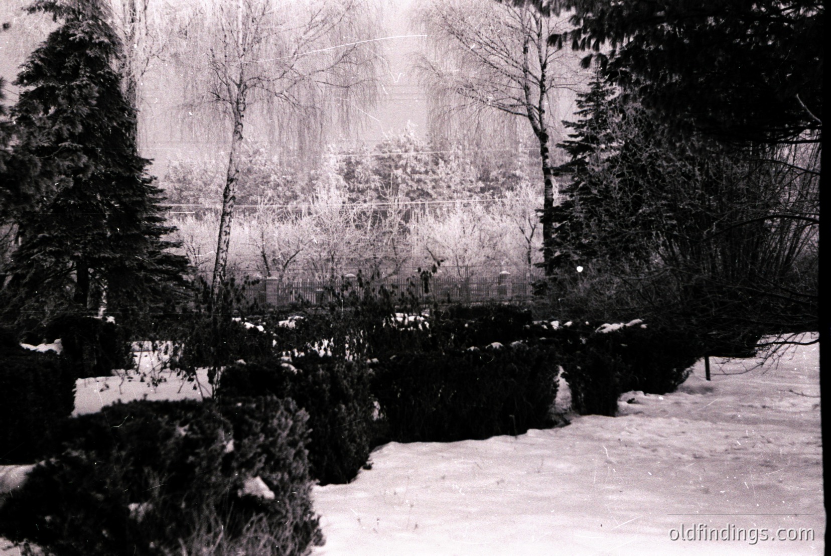 Vintage photograph