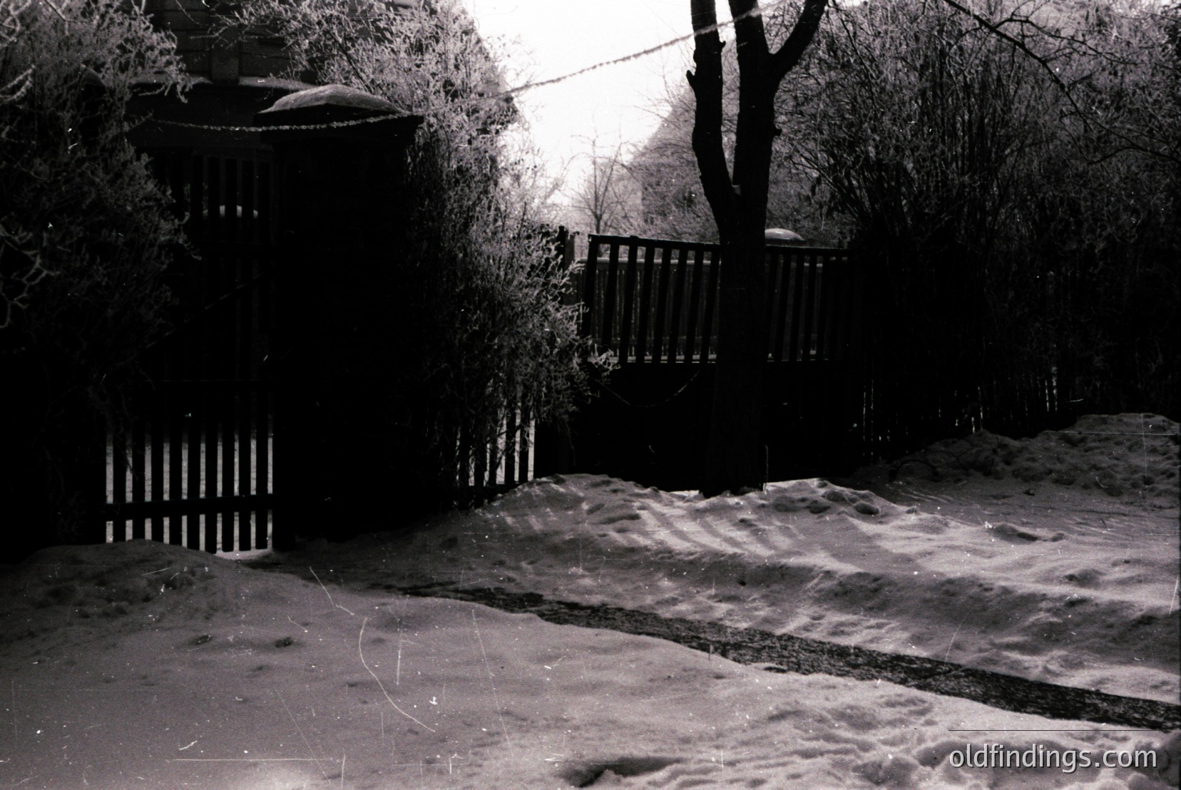 Vintage photograph