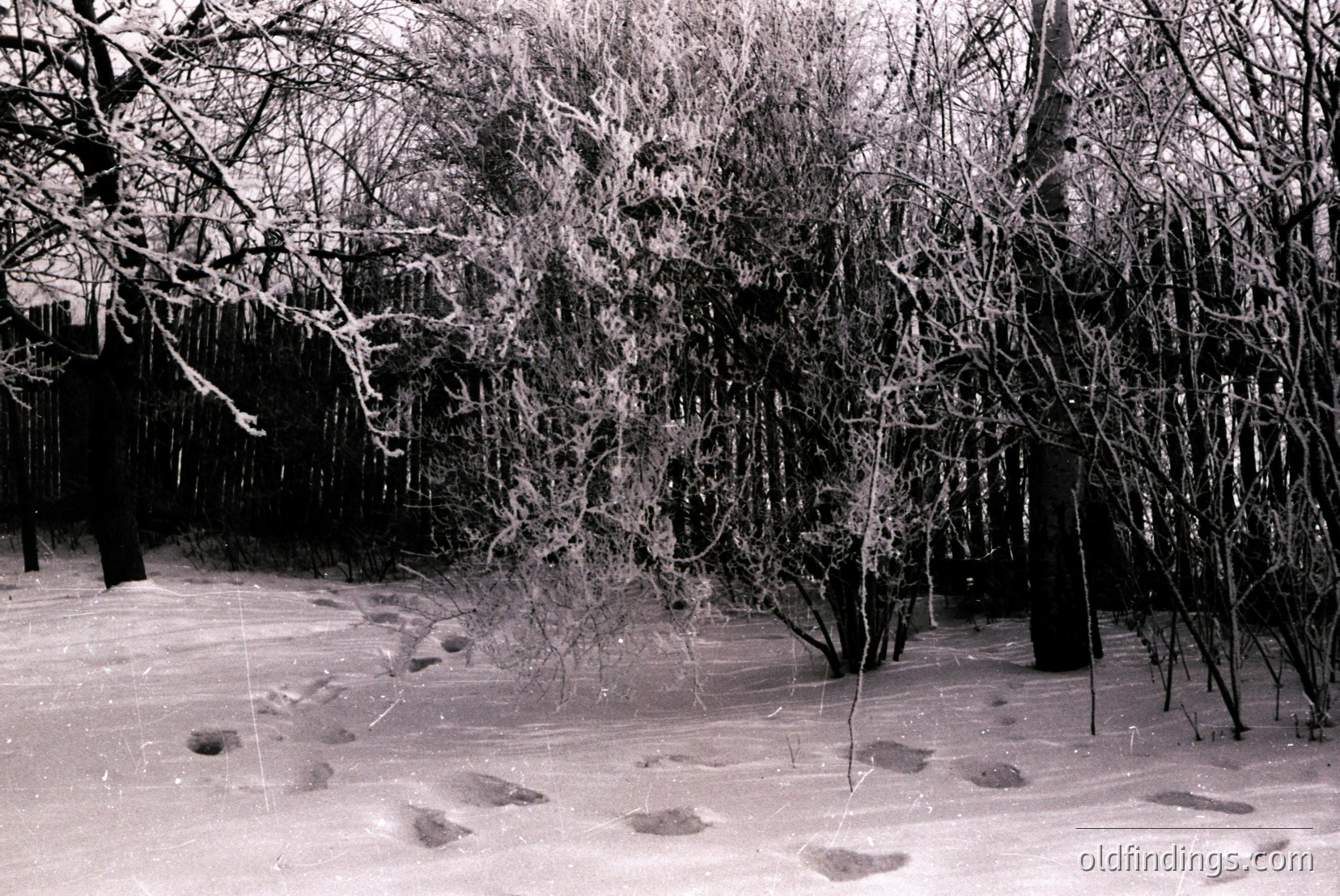 Vintage photograph