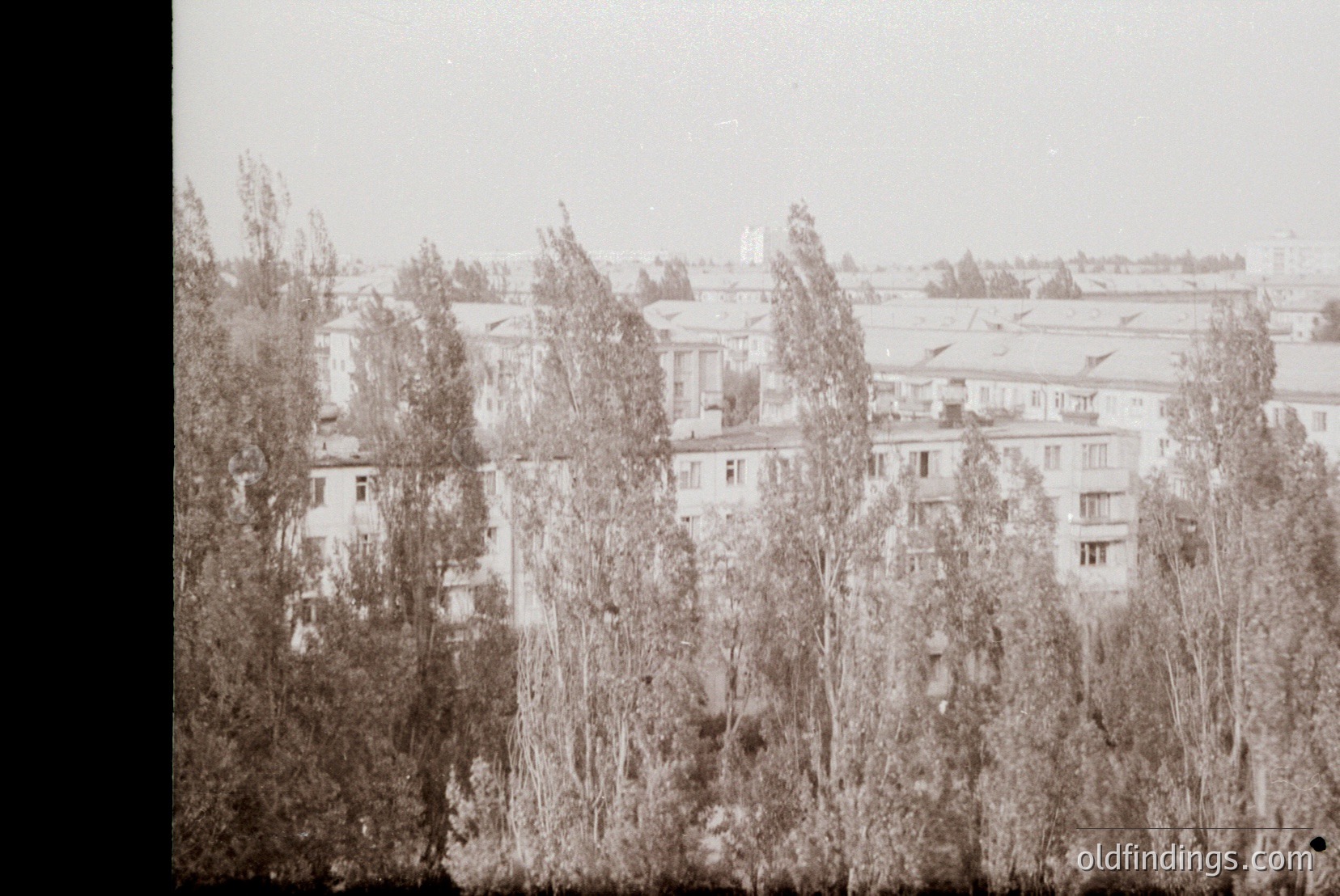 Vintage photograph