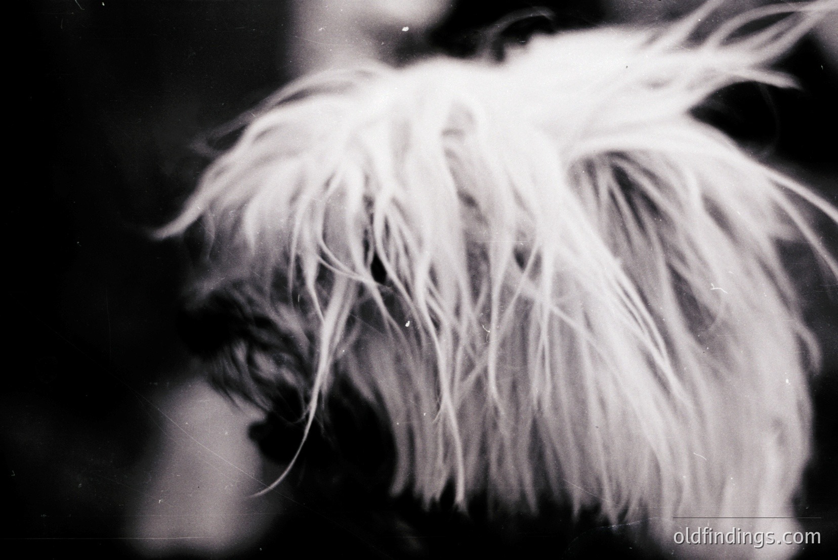 Vintage photograph