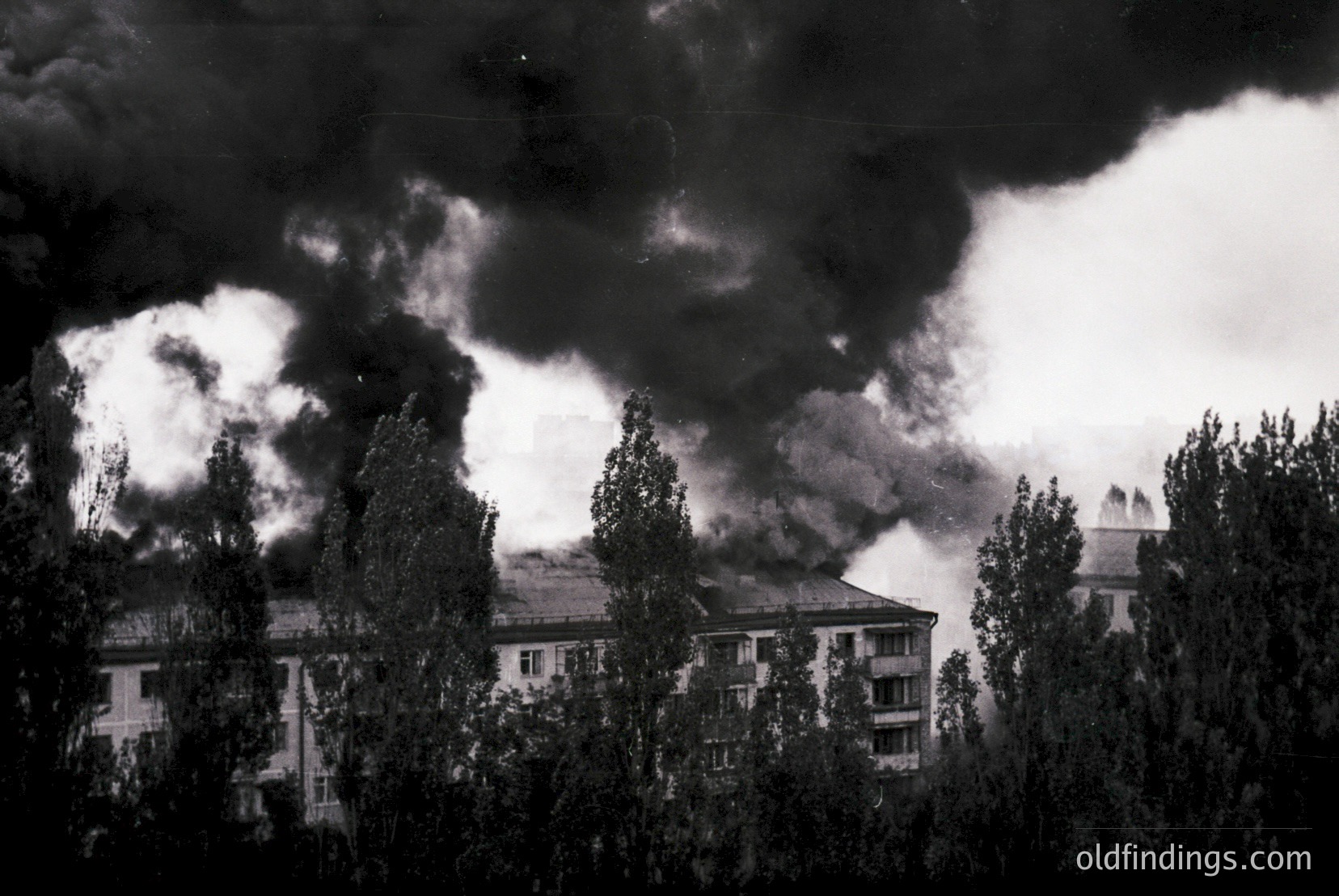 Vintage photograph