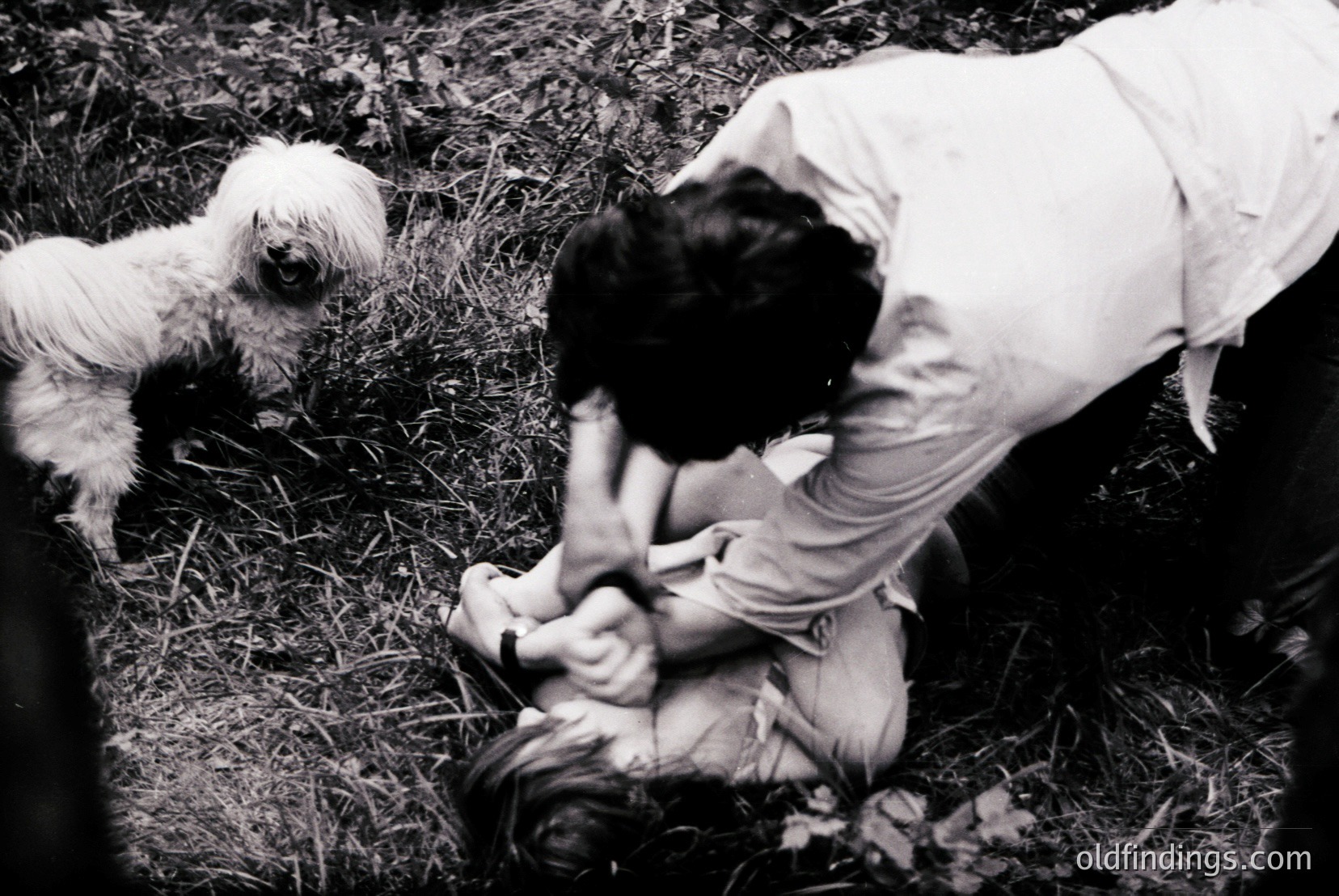 Vintage photograph