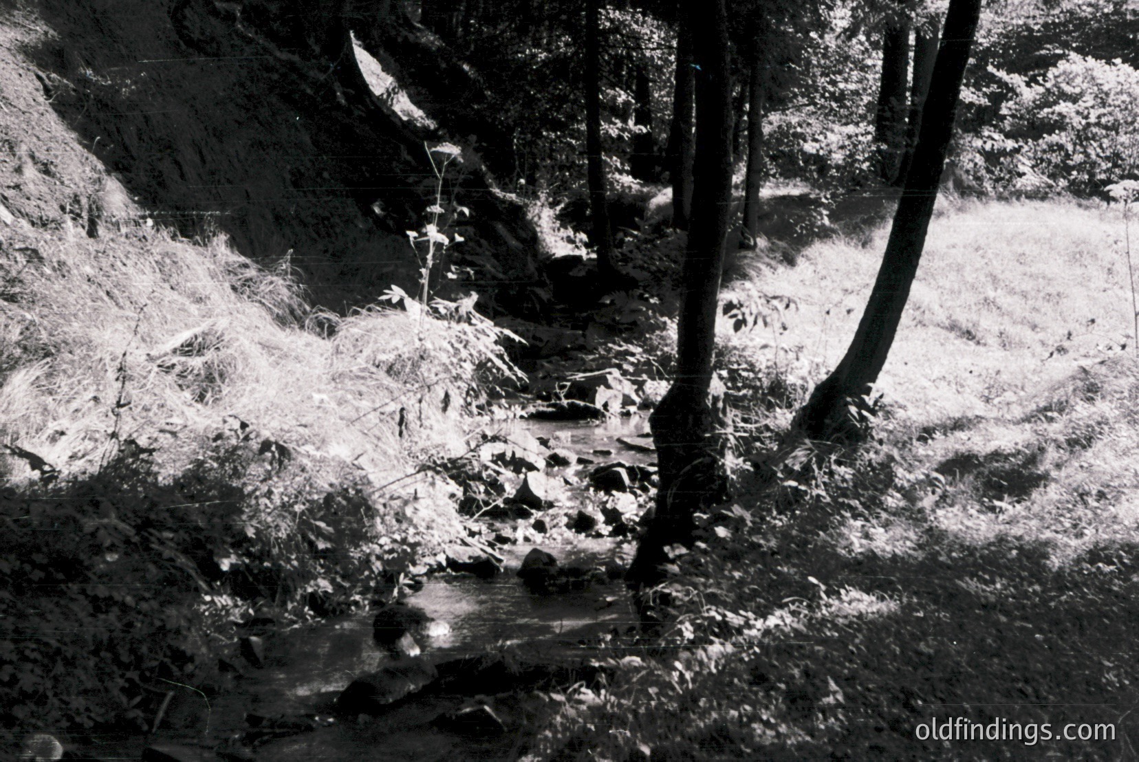 Vintage photograph