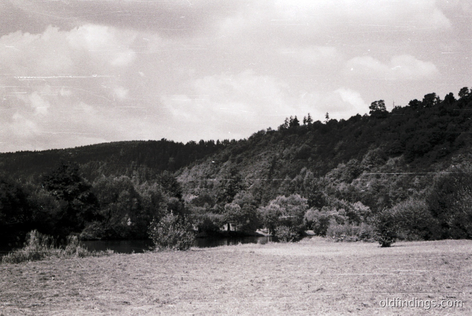 Vintage photograph