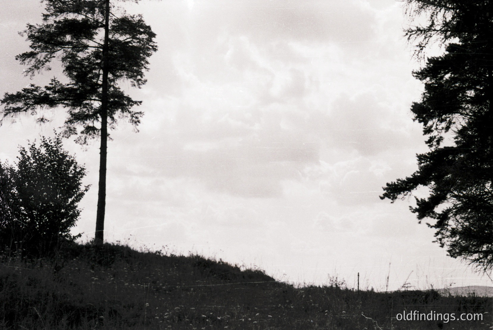 Vintage photograph