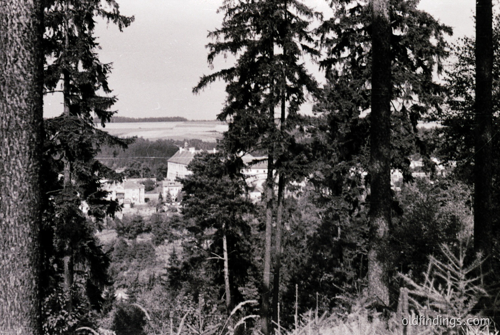 Vintage photograph