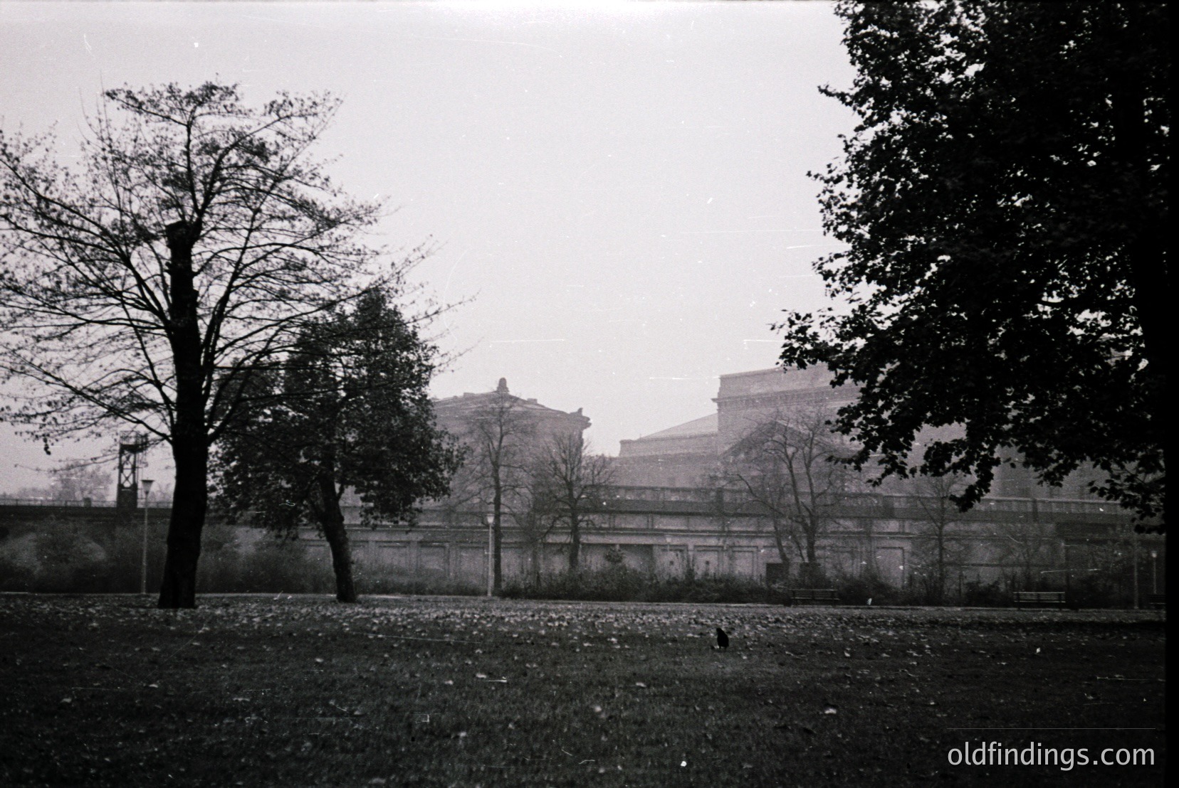 Vintage photograph