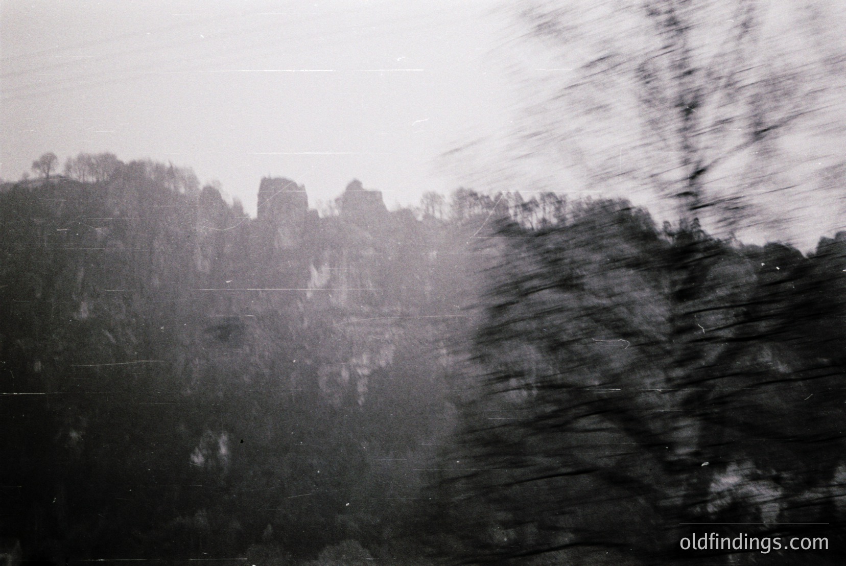 Vintage photograph
