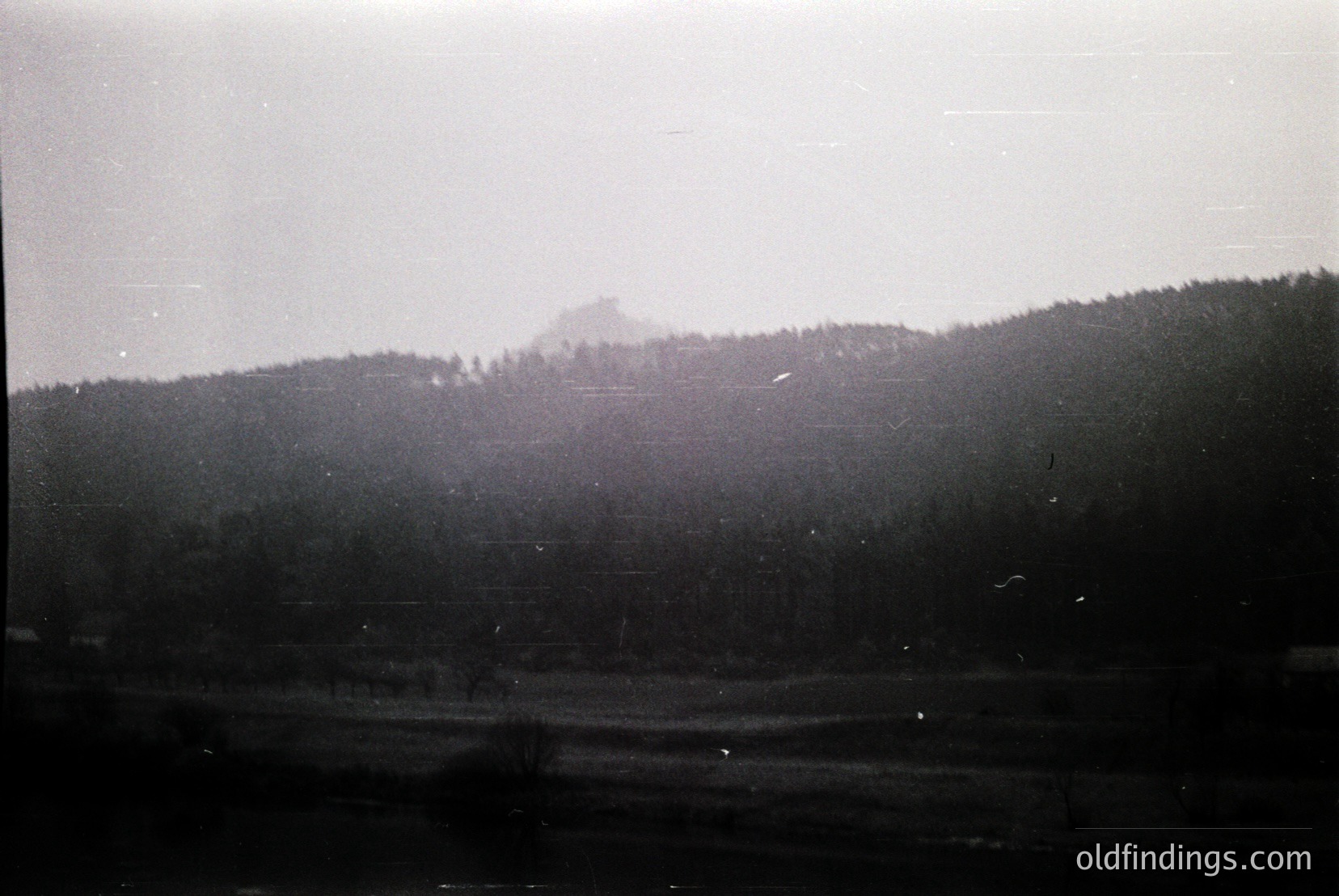 Vintage photograph