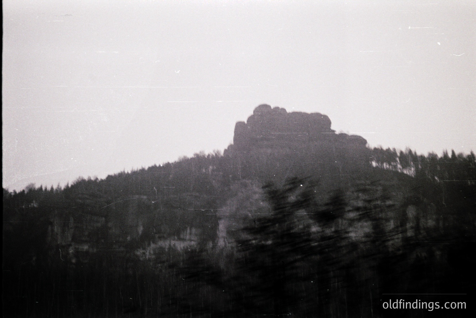 Vintage photograph