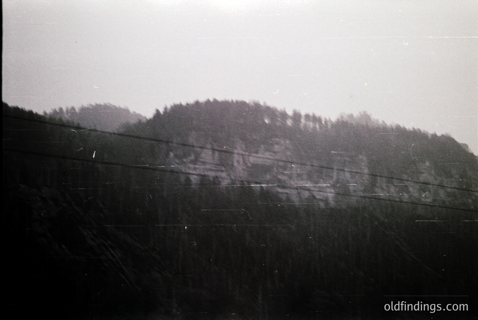 Vintage photograph