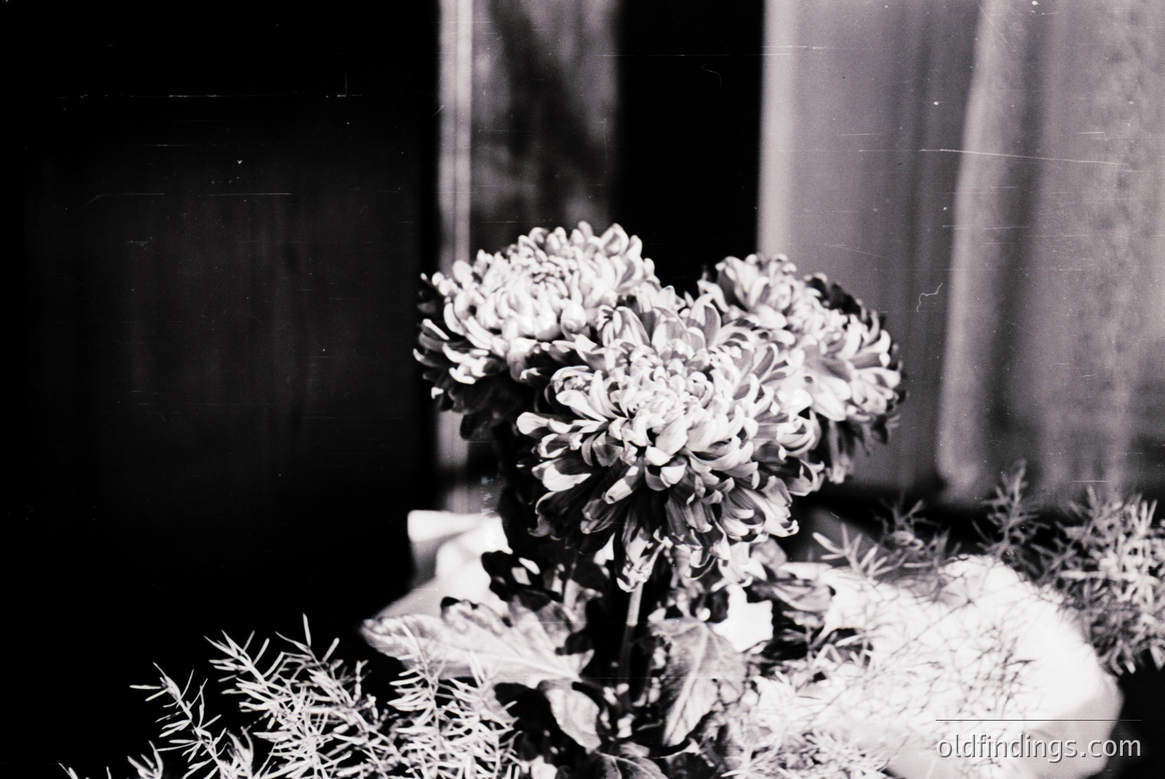 Vintage photograph